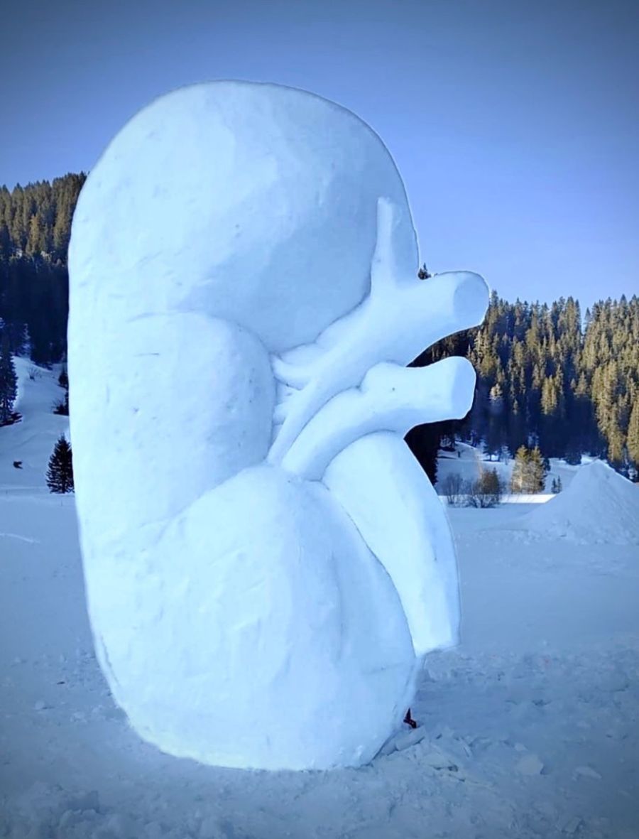 Eisniere 2022